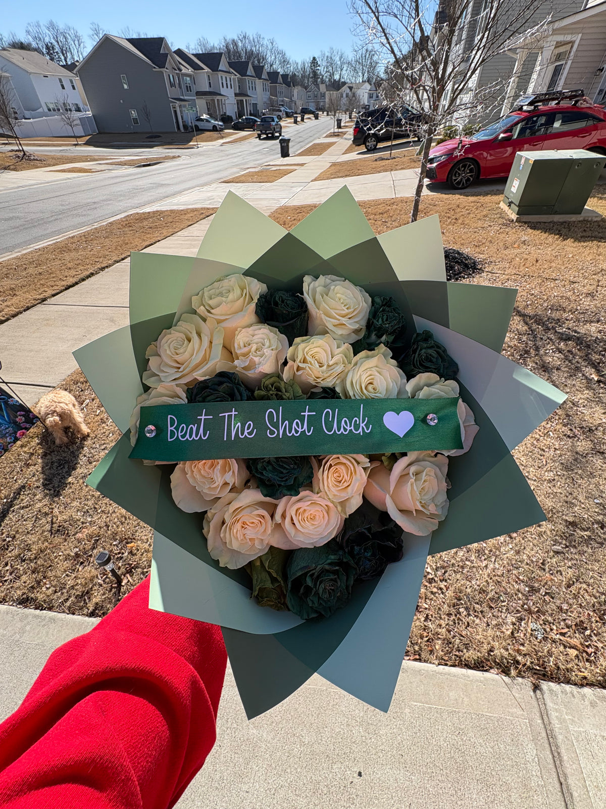 The Emerald Touch 25 Count Rose Bouquet